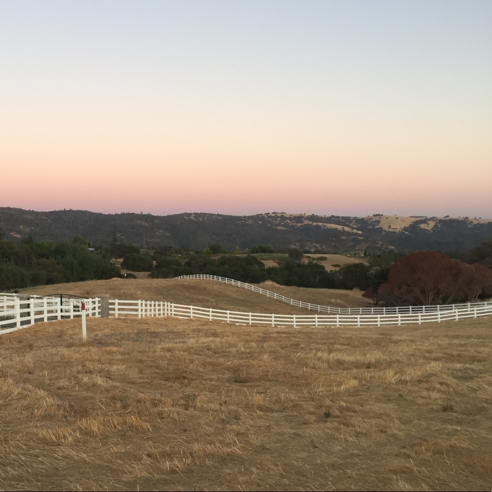 Meet your Posher, Bethany